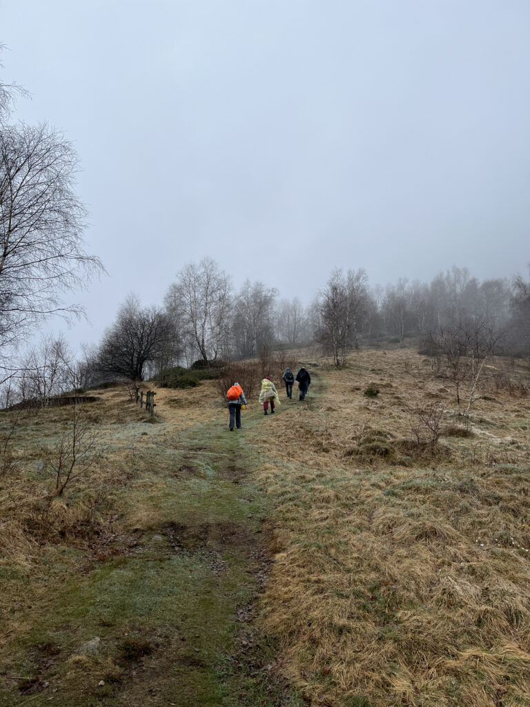 Foto scattate durante il primo sopralluogo in Oasi Zegna