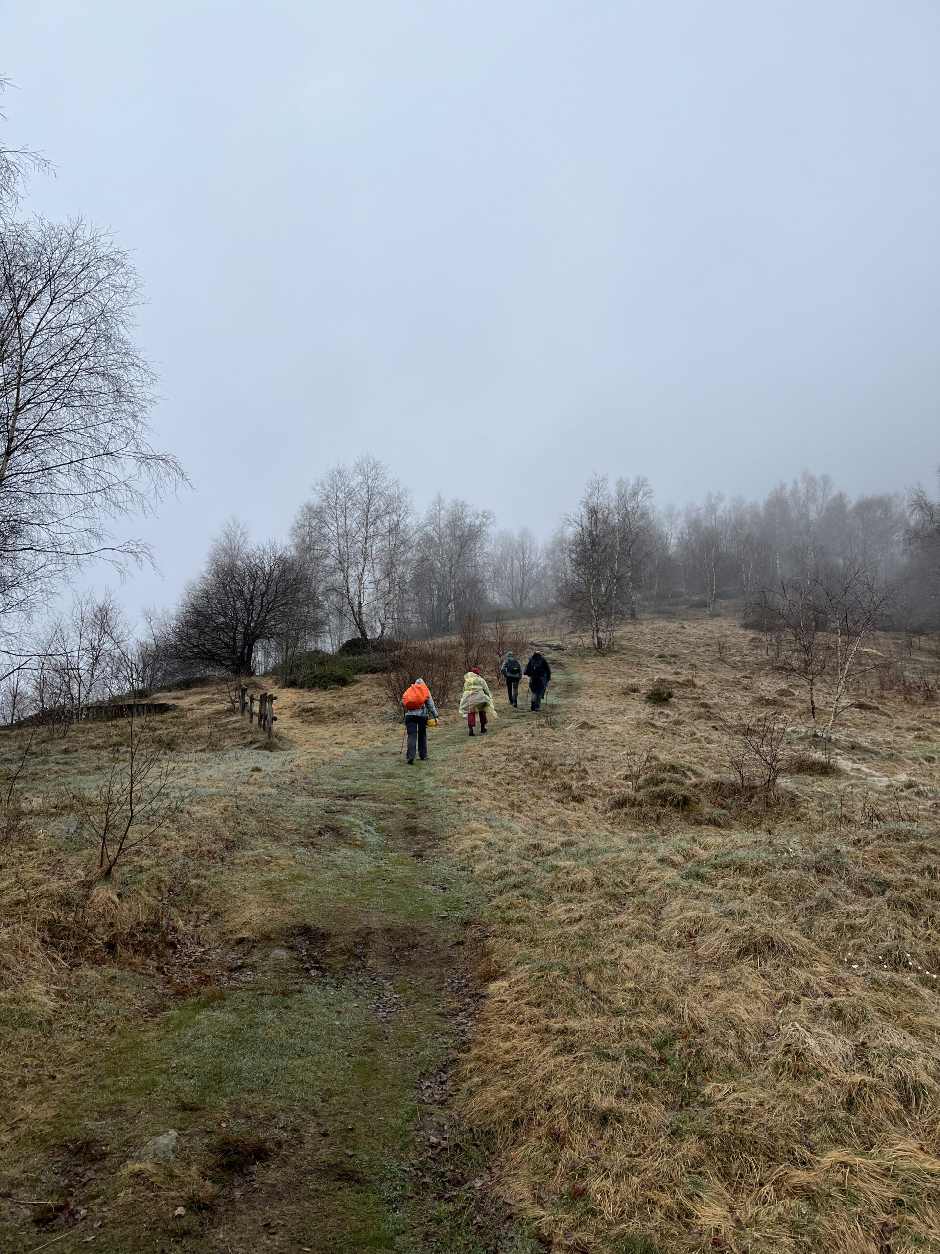Foto scattate durante il primo sopralluogo in Oasi Zegna